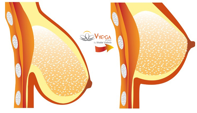 6 BÀI TẬP YOGA GIÚP BẠN MỘT BỘ NGỰC ĐẸP VÀ SĂN CHẮC